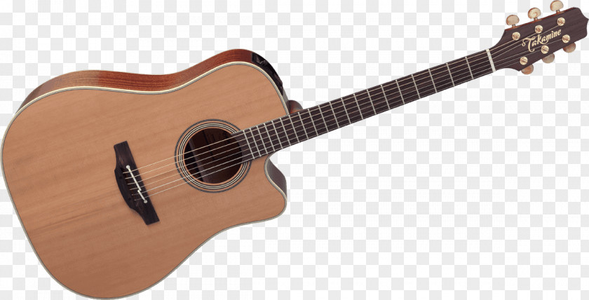 Acoustic Guitar Steel-string Cort Guitars Acoustic-electric PNG