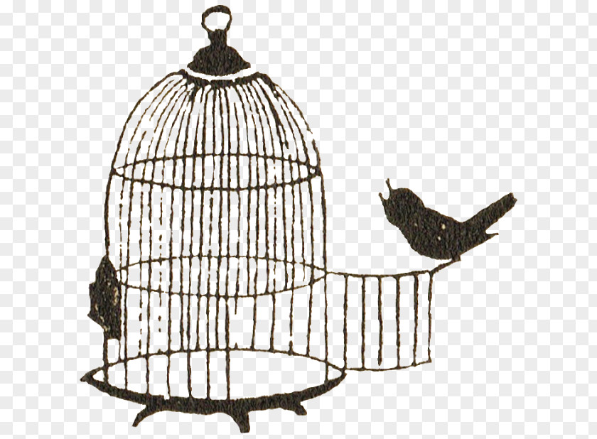 Birdcage Clip Art PNG