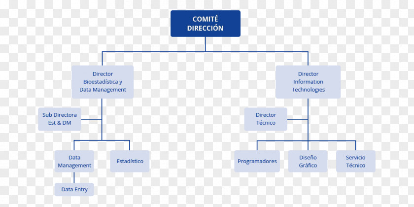 Cro Organizational Chart Empresa Statistics Logistics PNG