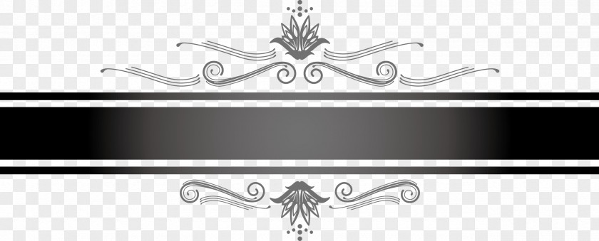 Hand Painted Black Lines And White Line Art PNG