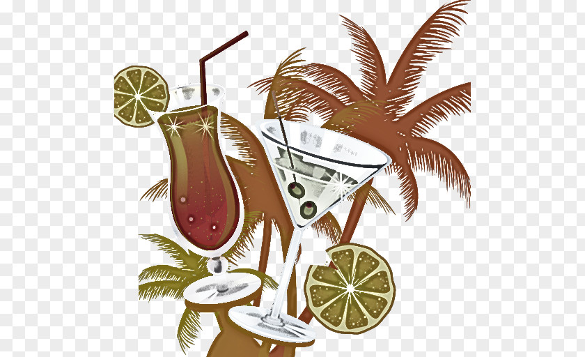 Palm Tree PNG