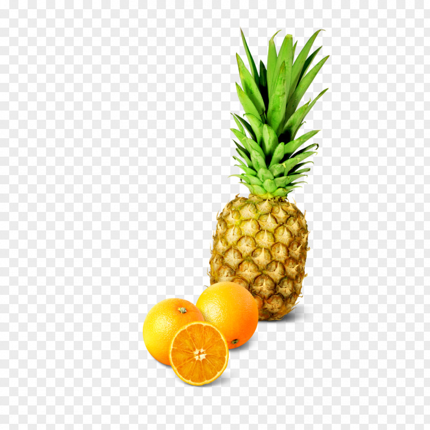 Pineapple Oranges Bun Illustration PNG