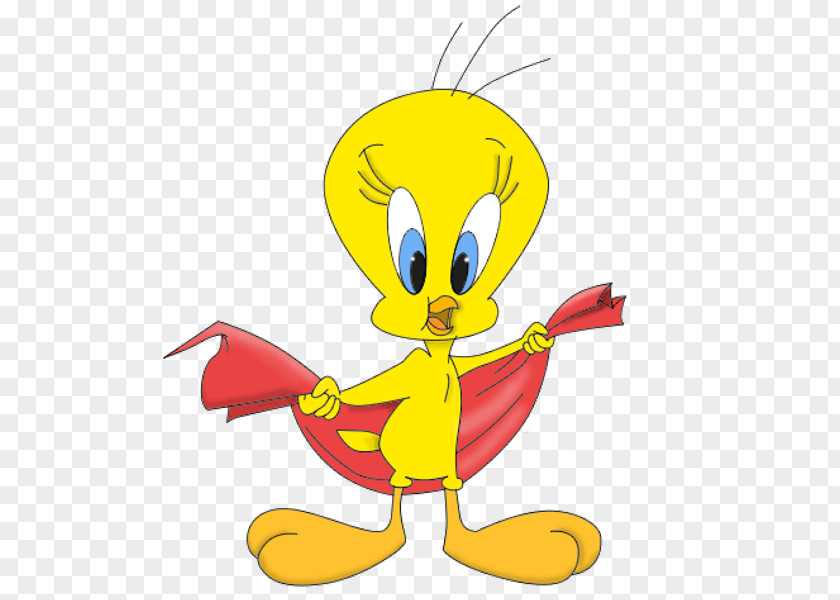 Quotation Tweety Cartoon Image Character Looney Tunes PNG