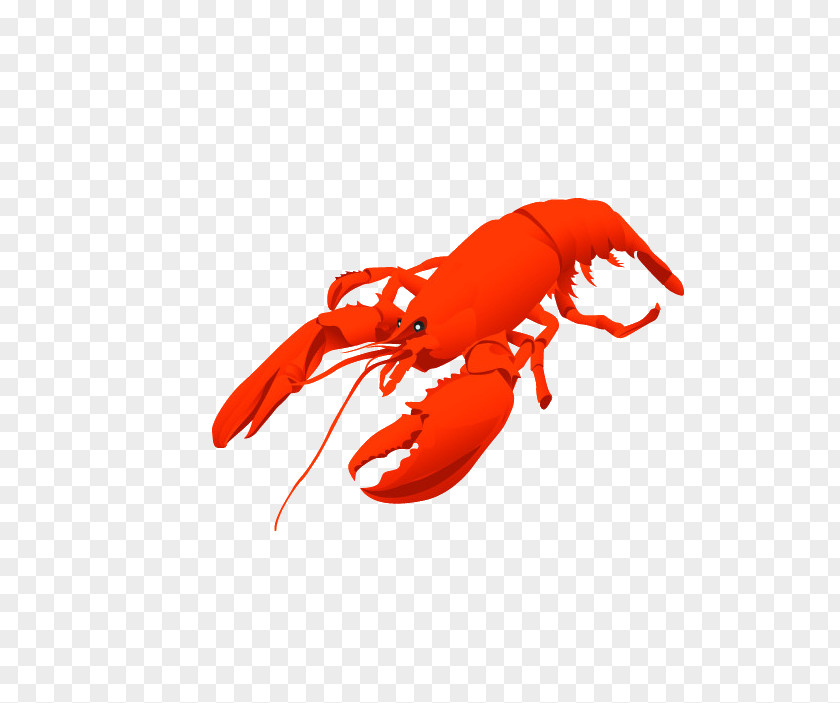 Red Lobster PNG , clipart PNG
