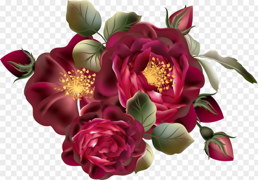 Rose Family Garden Roses PNG