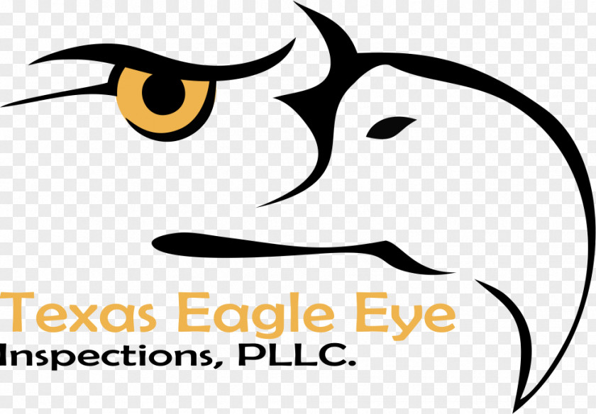 Texas Eagle Eye Inspections, PLLC. Home Inspection 0 PNG