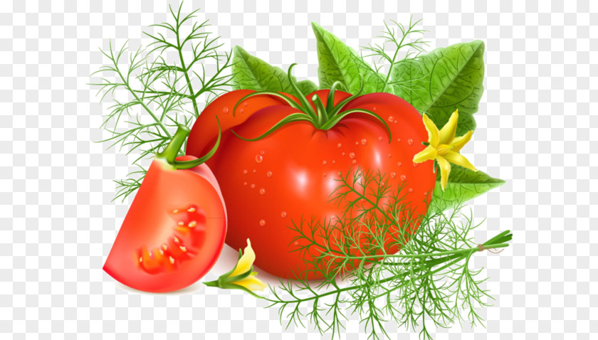 Tomato Soup Juice Minestrone PNG