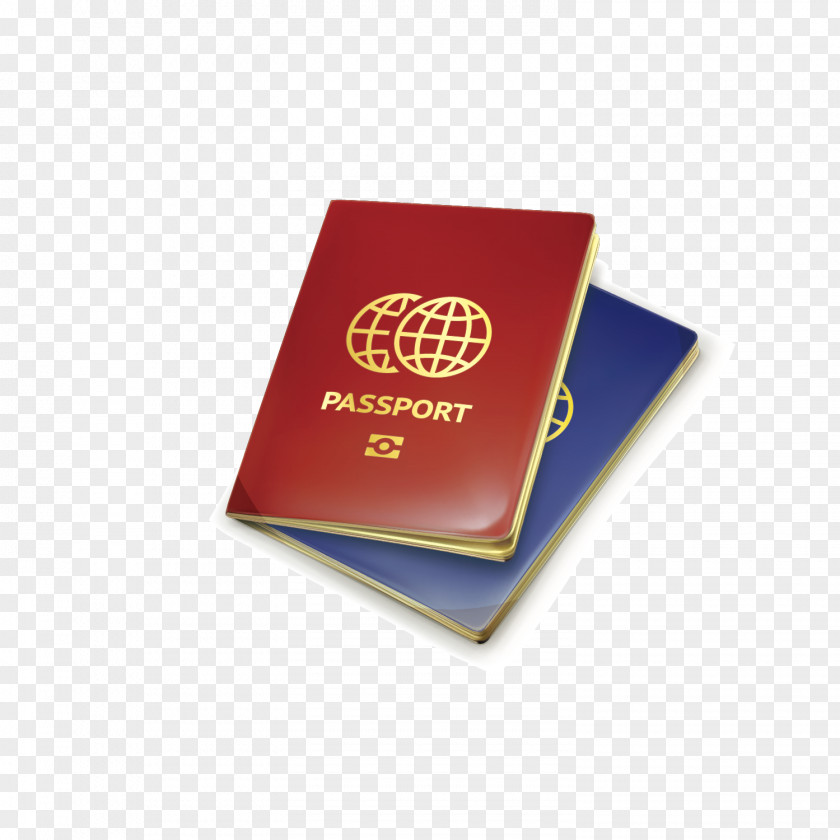 Vector Material Pattern Outbound Travel Vacation Passport Euclidean Illustration PNG