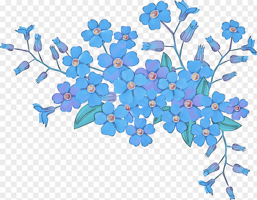 Borage Family Wildflower Blue Flower Plant Branch Forget-me-not PNG