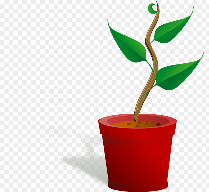 Grown Cliparts Plant Seed Clip Art PNG