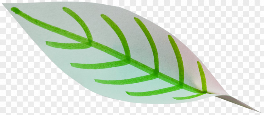 Leaf PNG
