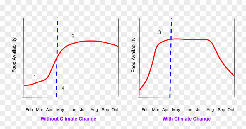 Line Angle Diagram PNG