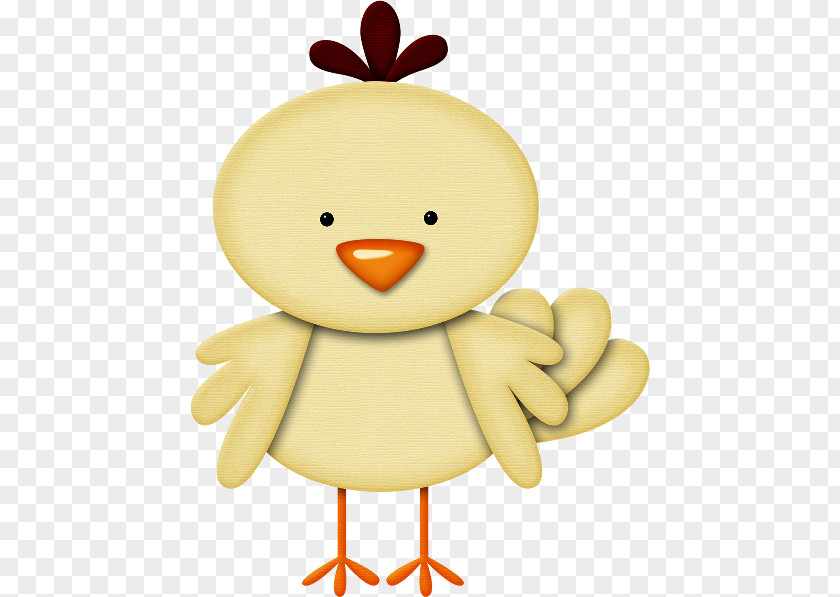 Pollito Chicken Clip Art Cartoon Illustration Drawing PNG