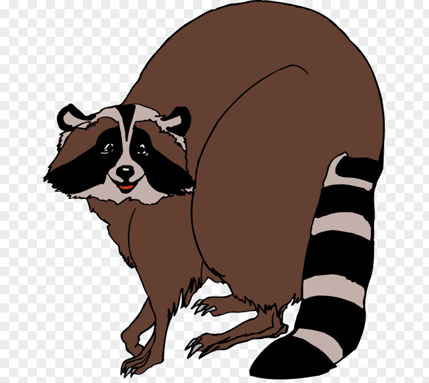 Raccoon Cliparts Clip Art PNG