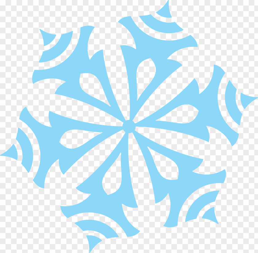 Snowflakes Snowflake Download PNG