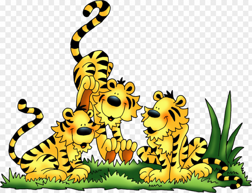 Tiger Clip Art Lion Illustration Image PNG