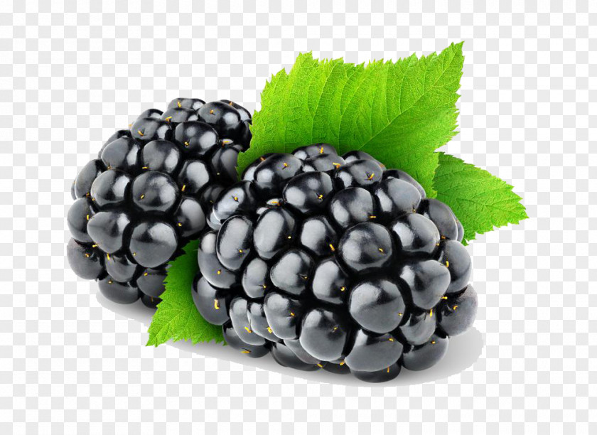 Blackberry BlackBerry Fruit PNG