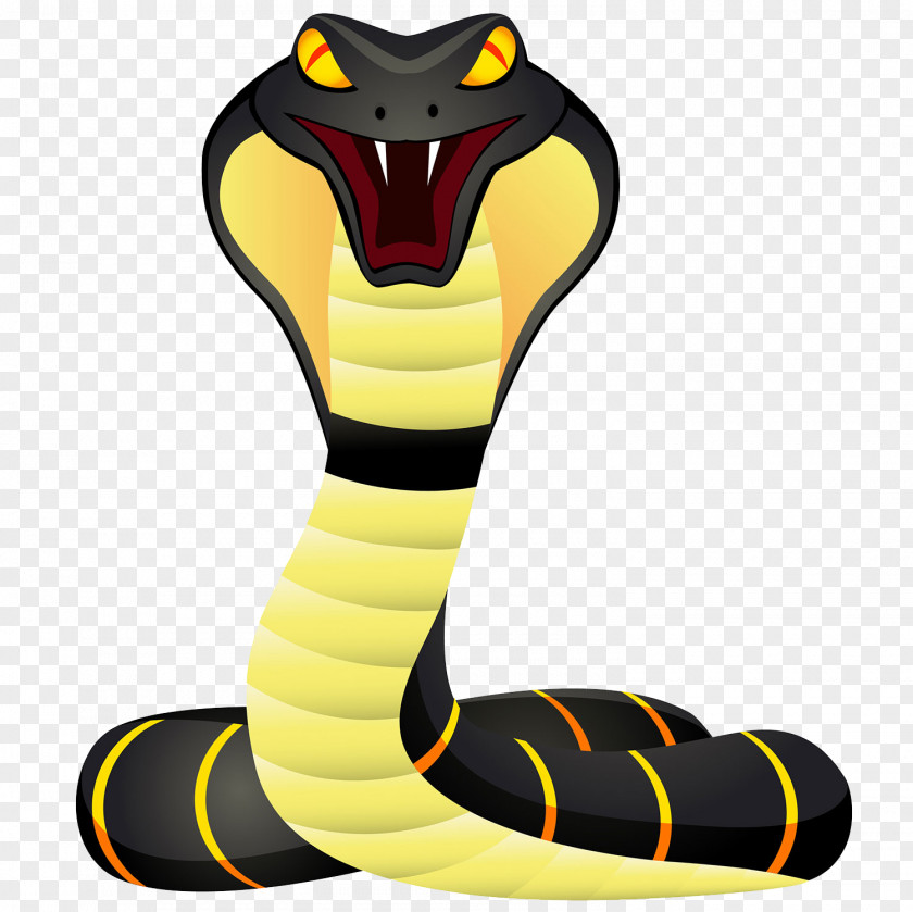 Cute Snake Image King Cobra Cartoon PNG