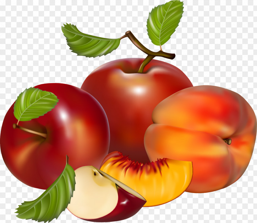 Fruit Juice Royalty-free Clip Art PNG