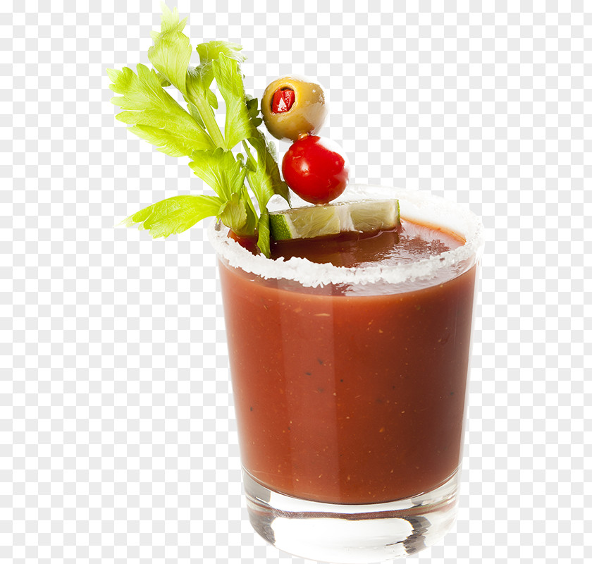 Hand Painted Fresh Spices Bloody Mary Cocktail Garnish Sea Breeze Mai Tai PNG