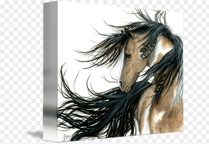 Mustang American Paint Horse Friesian Indian Stallion PNG