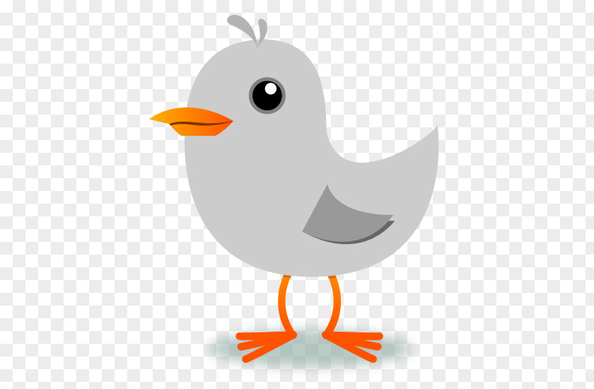 Peace Pigeon Download Clip Art PNG