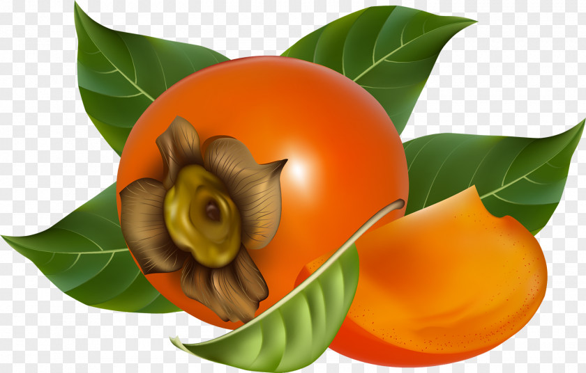 Persimmon Japanese Fruit PNG