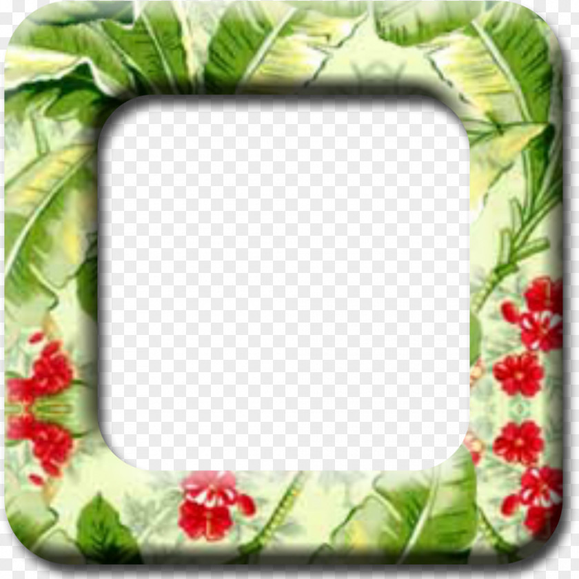 Picture Frames Drawing Clip Art PNG