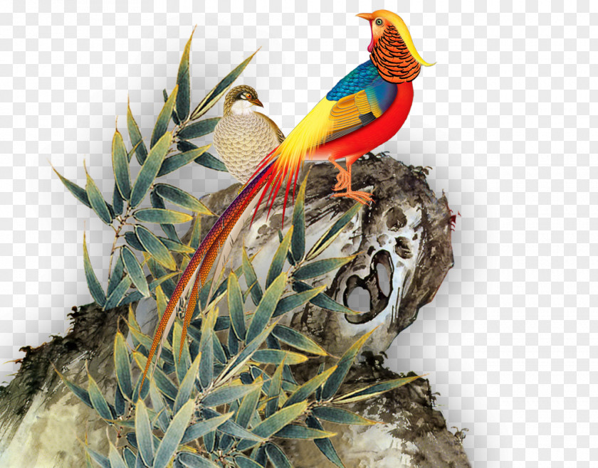 Stone Magpie Eurasian Bird Macaw PNG