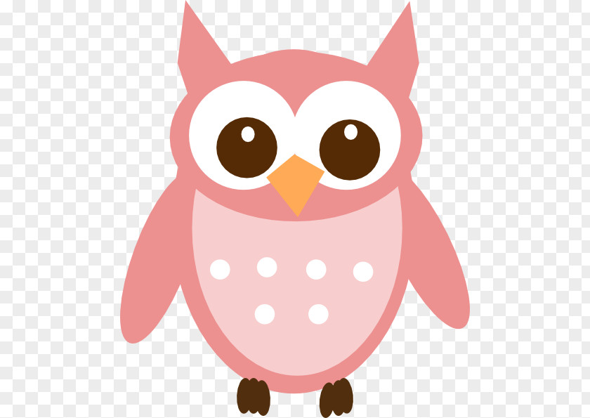 Took Cliparts Baby Owls Great Grey Owl Clip Art PNG