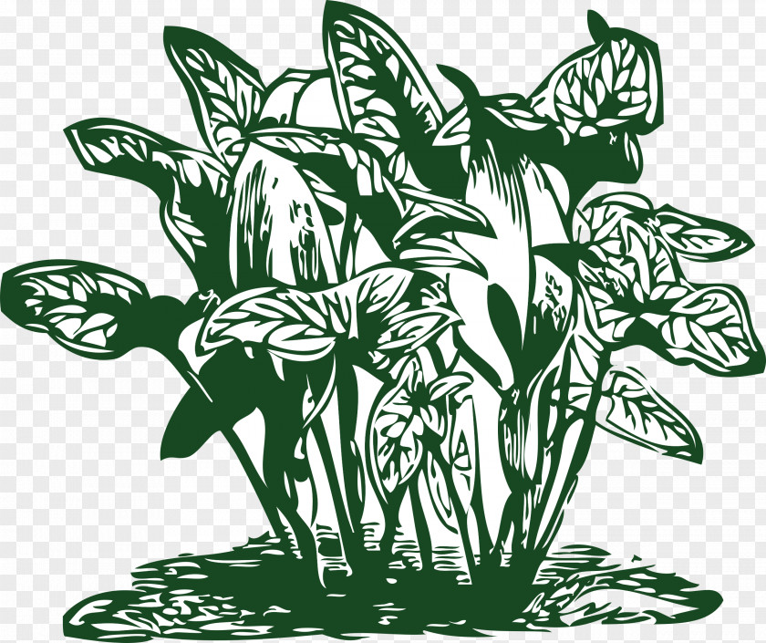 Tropical Plant Tropics Clip Art PNG