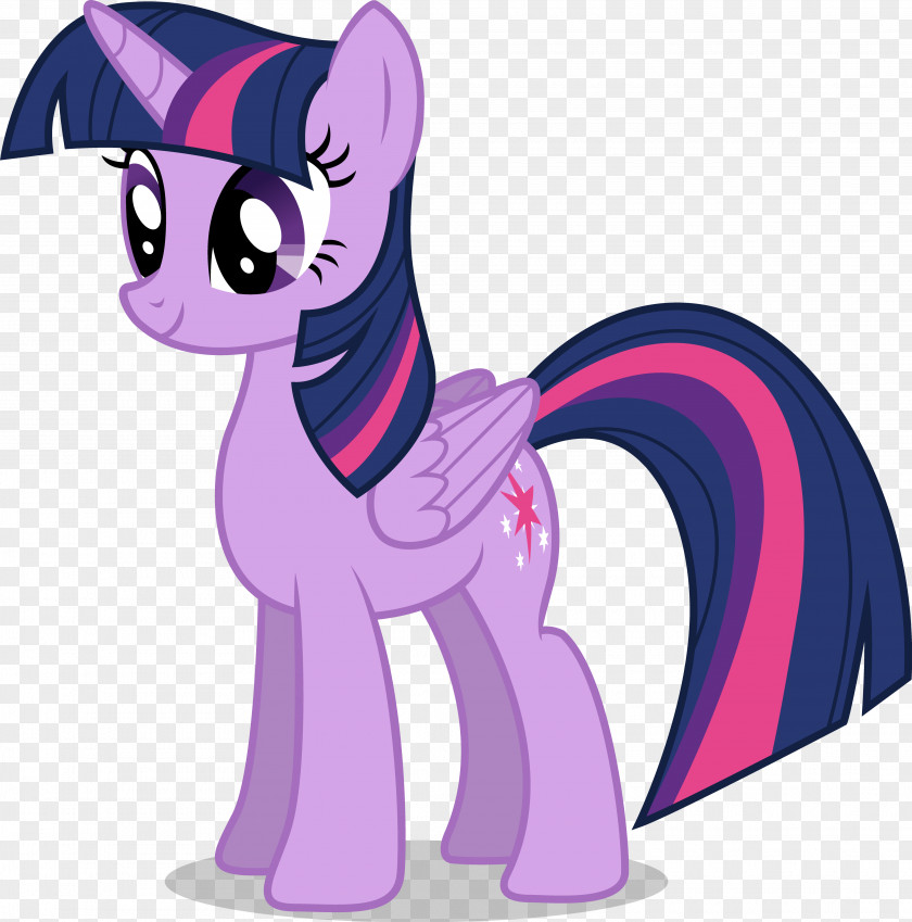 Twilight Sparkle Princess Celestia Rainbow Dash Rarity Pony PNG