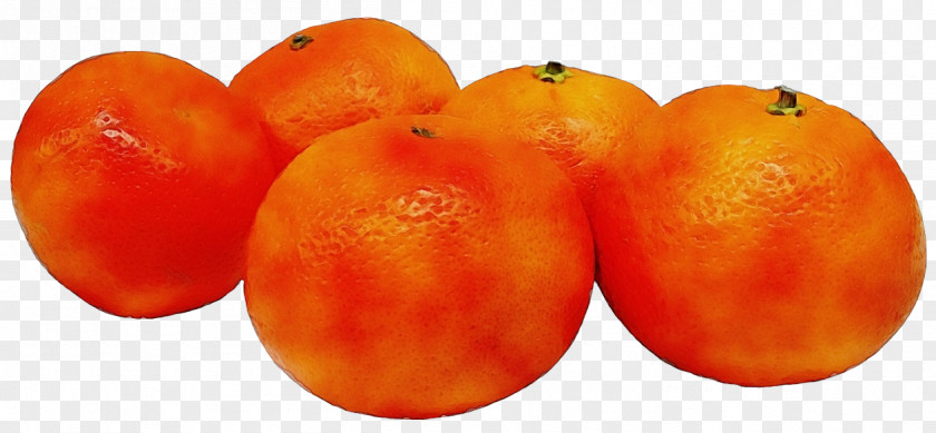Vegetarian Food Plant Orange PNG