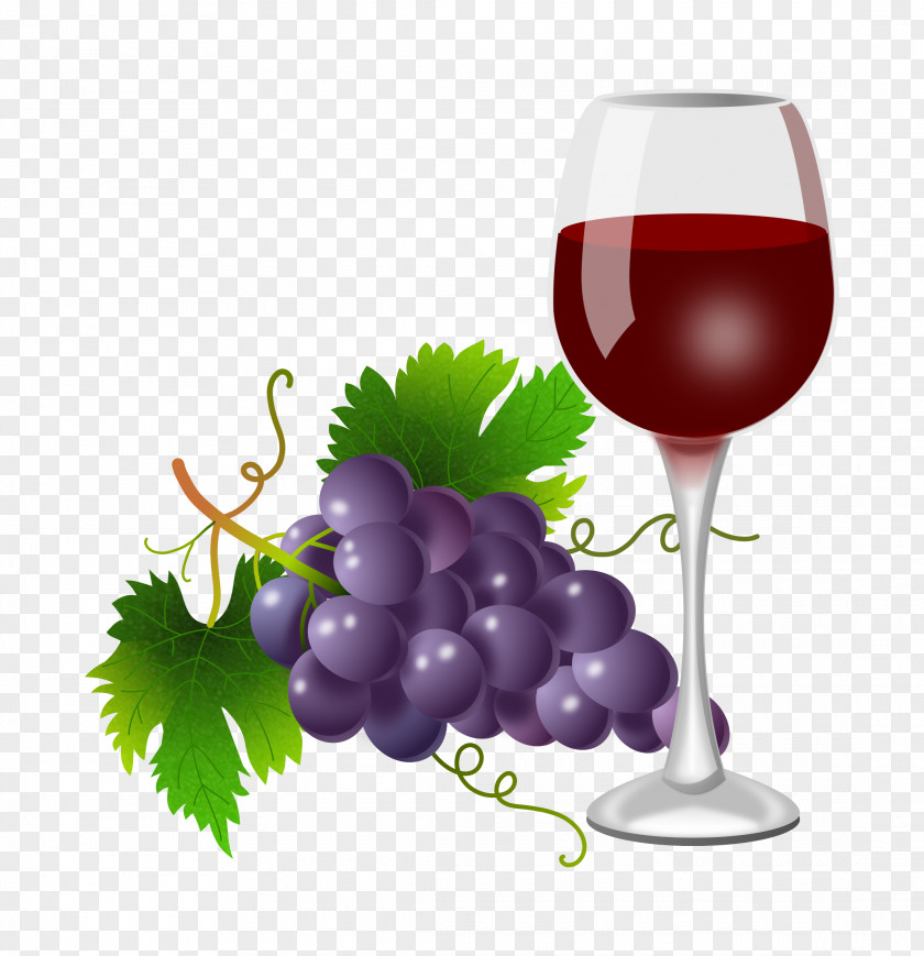 Wine White Red Common Grape Vine PNG
