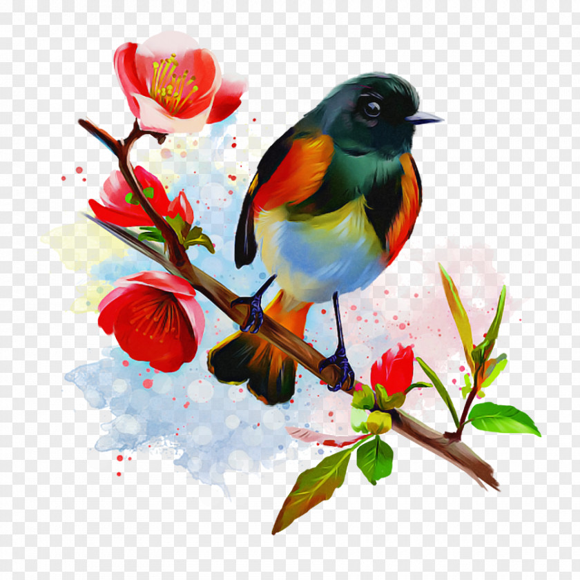 Bird Watercolor Paint Branch Songbird Plant PNG