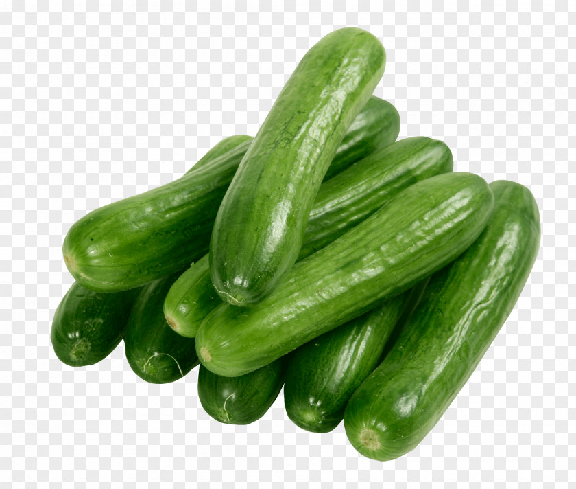 Cucumbers Sea Cucumber As Food Raita PNG