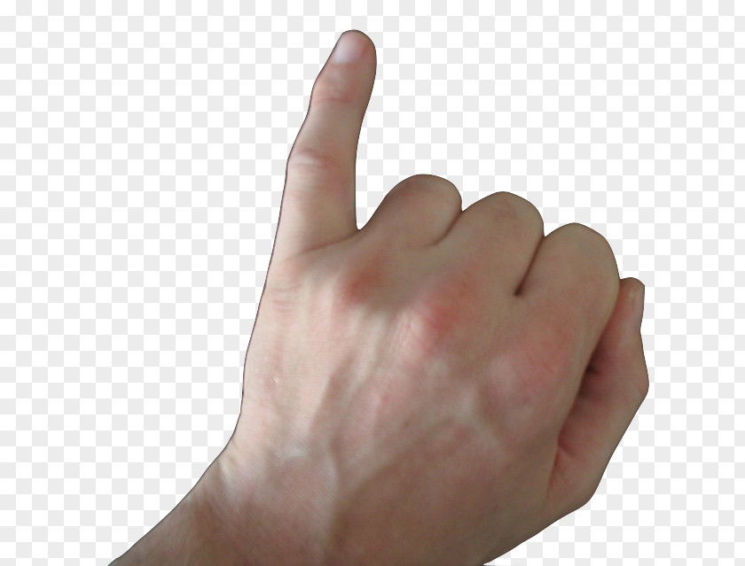 Flippers Little Finger The Middle Thumb PNG