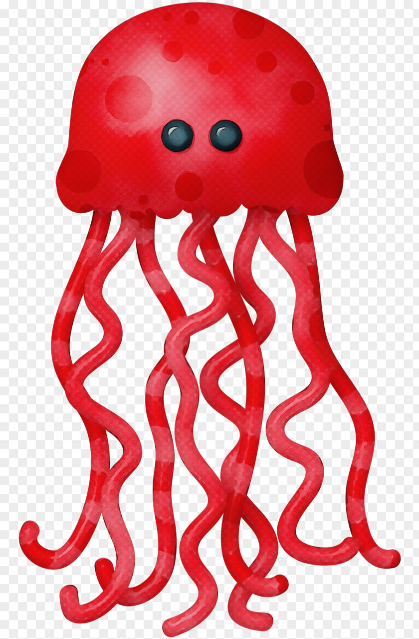 Giant Pacific Octopus Cnidaria Marine Invertebrates Jellyfish PNG