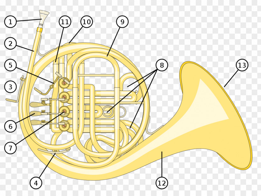 Musical Instruments French Horns Natural Horn Brass German PNG