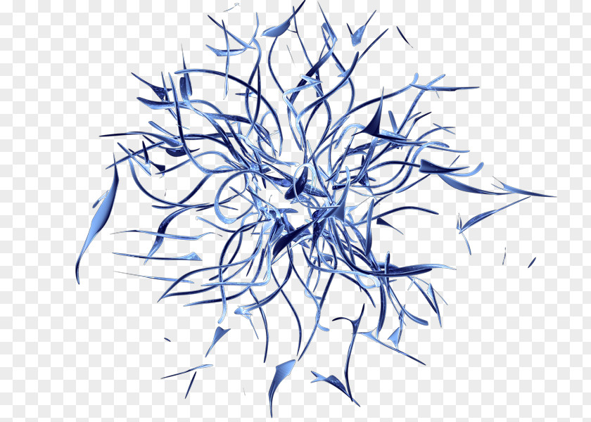 C4d Line Art Drawing Tree Symmetry PNG