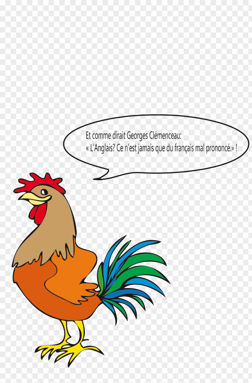 Coq Rooster French Language English Vocabulary PNG