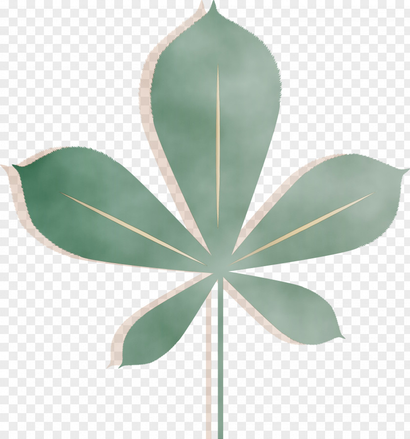 Leaf Green Science Plants Plant Structure PNG