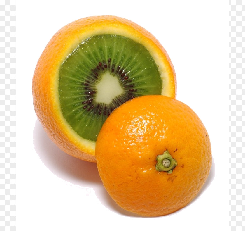Orange Clementine Mandarin Tangelo Tangerine PNG