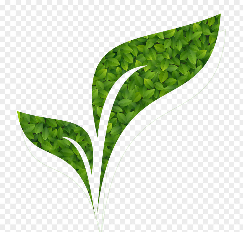 Agro Banner Image Environmentally Friendly Vector Graphics Stock Illustration Ink PNG