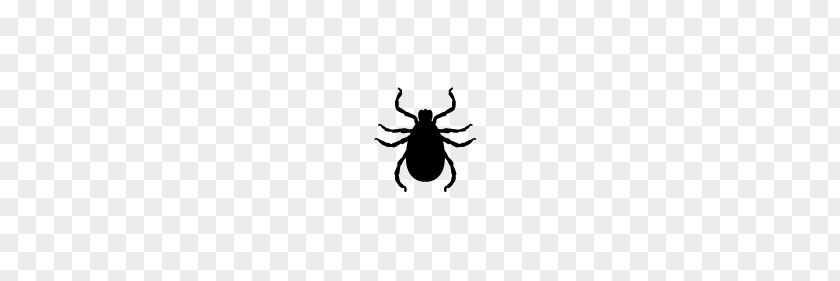 Beetle Pollinator Line White Font PNG