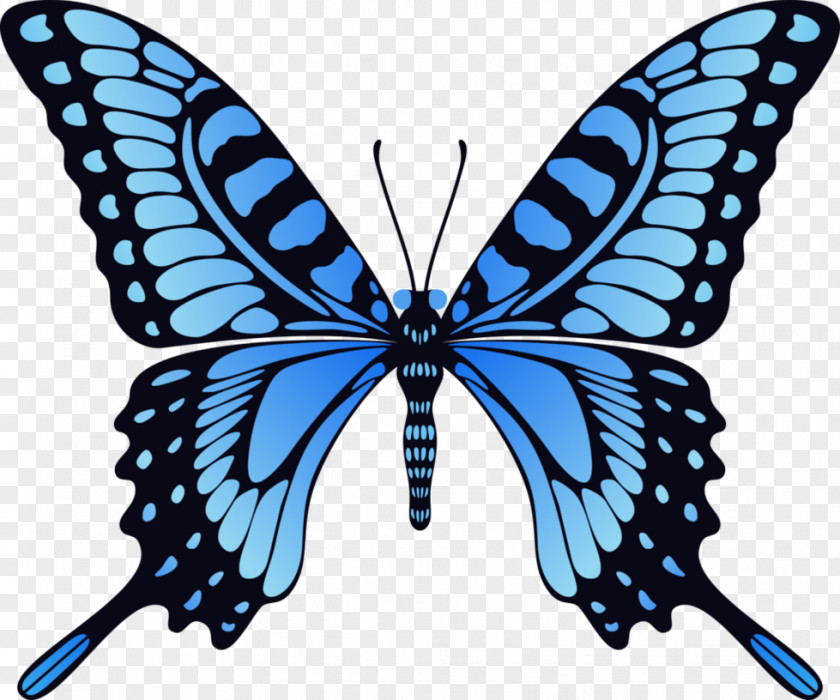 Blue Butterfly Image Monarch Animation Film PNG