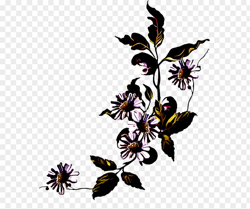 Butterfly Pedicel Flower Plant Flowering Leaf Wildflower PNG