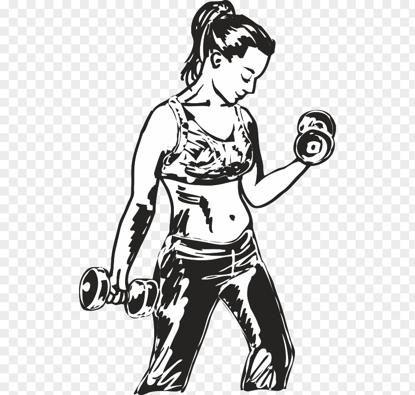 Dumbbell Weight Training Drawing Exercise Fitness Centre PNG