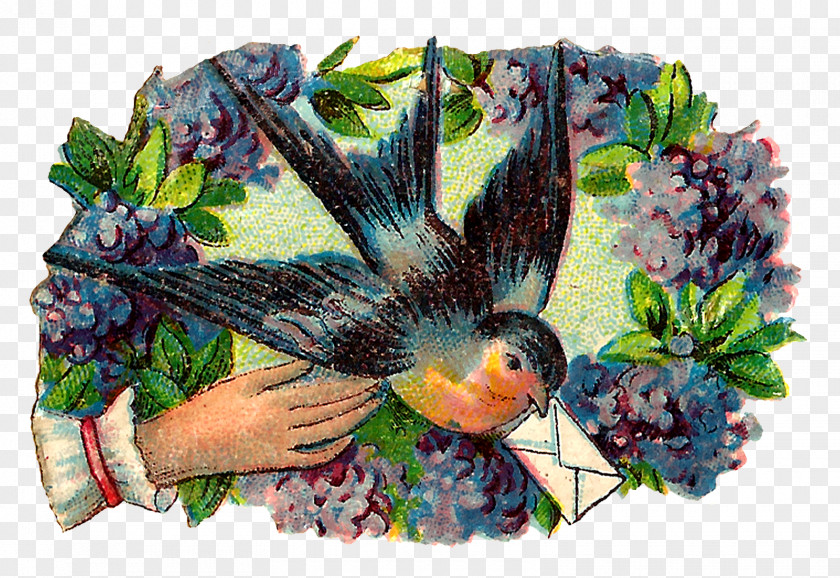Flowers And Birds Leaf PNG