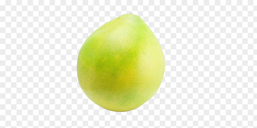Grapefruit Key Lime Sweet Lemon Persian PNG